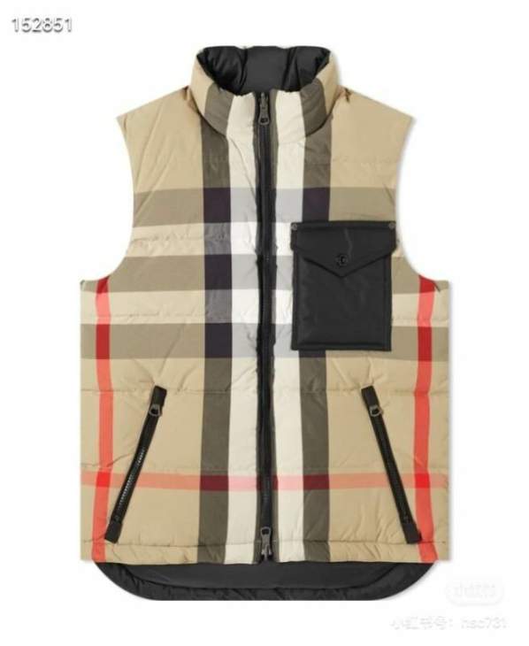 Picture of Burberry Down Jackets _SKUBurberryS-2XL26yr12337987